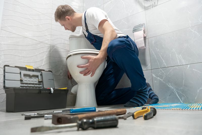 Toilet Snaking detail
