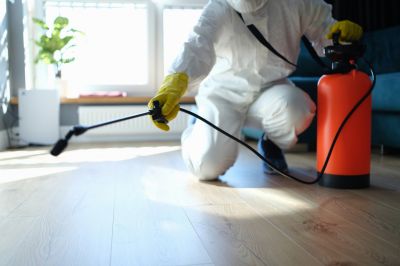Cricket Removal Service