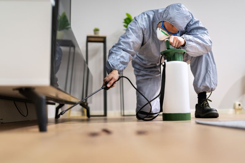 Insect Control Service